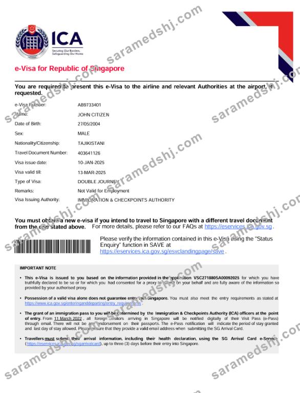 Singapore e-visa template in Word and PDF formats, version 2